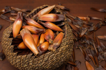 Close pine cone on a wood background. The true fruit of Araucaria and its seeds are pine nuts.
