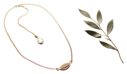 PNG Jewelry necklace plant accessories.