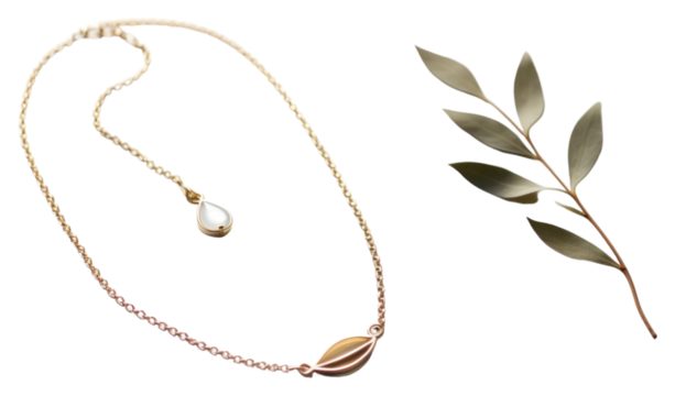 PNG Jewelry necklace plant accessories.
