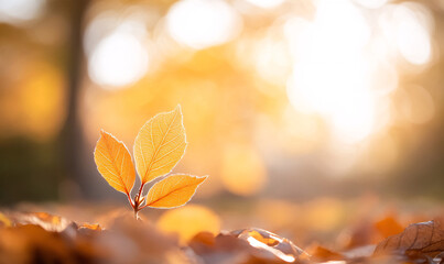 autumn leaves background-generative ai