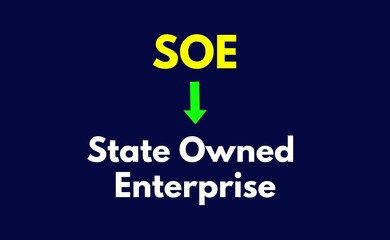 SOE Meaning, State-owned Enterprise