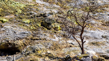 The hill on Sikidang Crater (kawah sikidang) full of smoke and sulfur, one of the famous tourist destinations in Wonosobo.