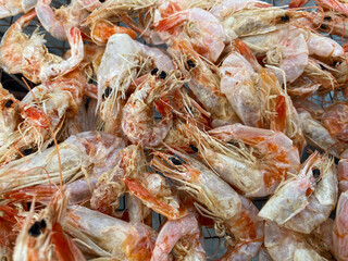 dry shrimp on the market