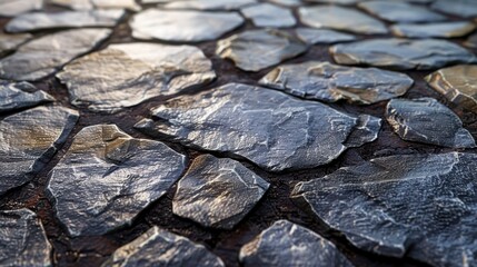 Closeup of a cobblestone pathway with uneven stones and a textured surface.
