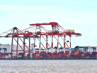 Fototapeta premium Tokyo, Japan -August 27, 2024: Container gantry cranes at Tokyo Bay, Japan