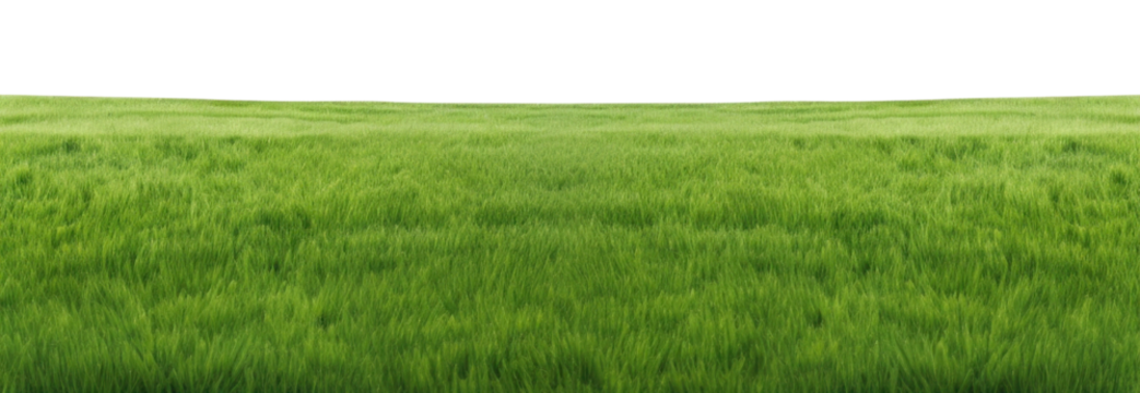 PNG  Lush green field under sky