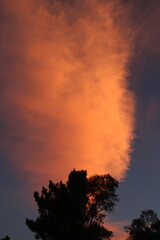 Puesta de sol intensa con árboles en primer plano con un Dramático cielo naranja y rosa al...