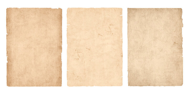 Vintage old paper sheets or parchment with ripped torn edges. Antique ragged worn paper textures