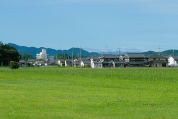 A residential area and a spacious lawn area