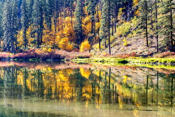 Beautiful autumn scenery in Washington State. USA