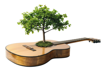 Tree growing out of a guitar