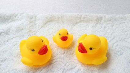 お風呂のアヒル親子仲良くお話ファミリー家族