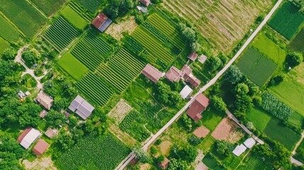Obraz premium Aerial View of Green Farmland with Houses and Road