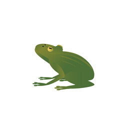 Green-yellow toad on a white background in cartoon flat style