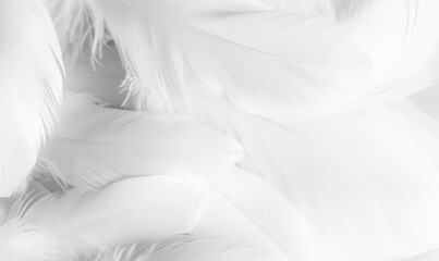 Ethereal White Feather: Delicate Symbol of Purity and Warmth. Elegant Minimalist Design for Winter Comfort Advertising, Down Jacket Marketing, and Dreamy Bedding Concepts. Abstract white feather