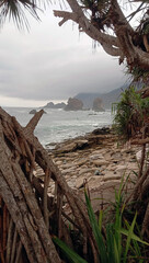 papuma beach indonesia