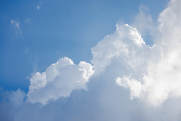 青空に沸き立つ白い雲