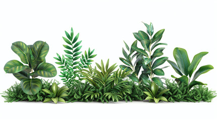 Lush Greenery: A Vibrant Display of Various Hanging Plants on White Background