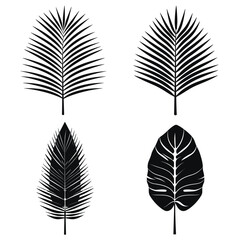 Vector silhouettes of various tropical palm leaves in black on a white background.