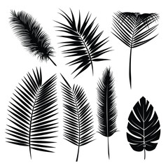 Fototapeta premium Collection of black silhouetted palm leaves and tropical foliage on a white background.