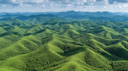 Fototapeta premium Aerial View of Vast Green Rolling Hills Under a Cloudy Sky, Showcasing the Lush Forests and Serene Landscape of a Picturesque Countryside