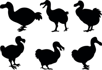 Set of 6 items dodo animal silhouette vector illustration