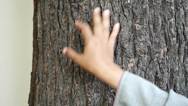 Establish a connection with nature through gently touching the bark of a tree in a peaceful park