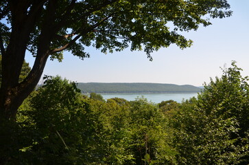 lake with overhanging leaves and trees