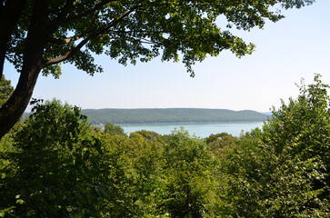 lake with overhanging leaves and trees