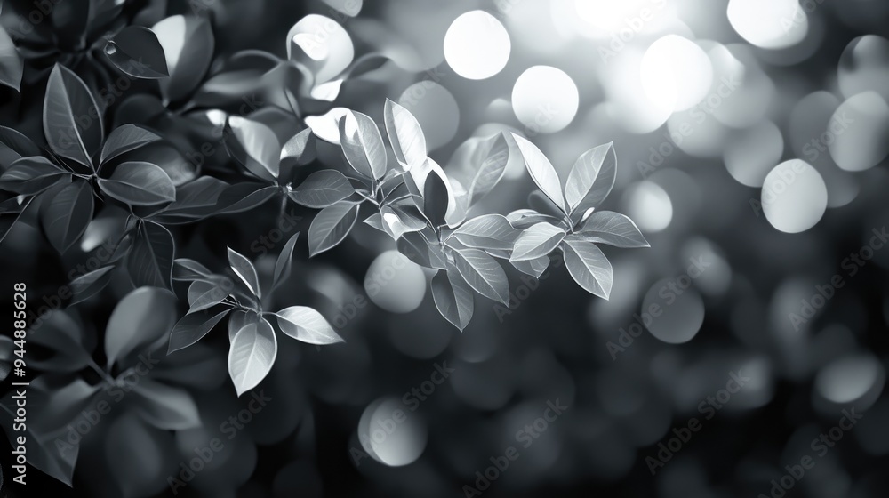 Poster 3d rendering of soft light bokeh effects created by leaves in a natural spring abstract background m
