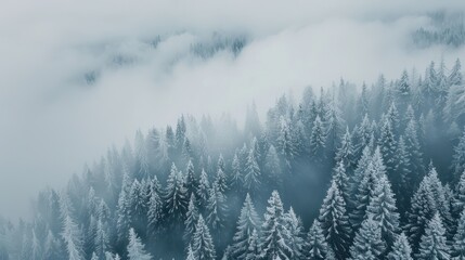 Fototapeta premium Serene Winter Forest Amidst Majestic Mountains, a tranquil scene showcasing snow-laden trees, rugged peaks, and the stillness of nature's embrace during the cold season.