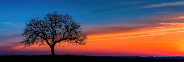 Obraz premium Tree Silhouette Beneath Orange and Blue Sunset