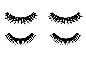  4 different reusable self-adhesive mink eyelash vector illustrations on a white background