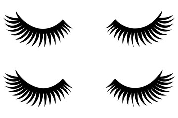  4 different reusable self-adhesive mink eyelash vector illustrations on a white background