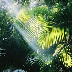 Obraz premium Close-Up of Lush Palm Leaves in Dense Jungle Setting