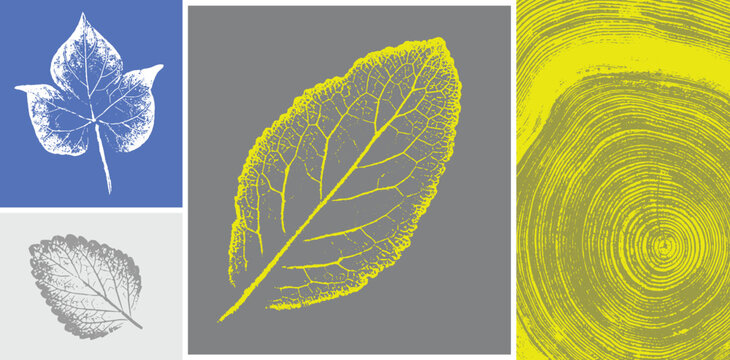 Decorative leaf prints and wood block prints. Monotone yellow and gray botanical tree rings impression print.