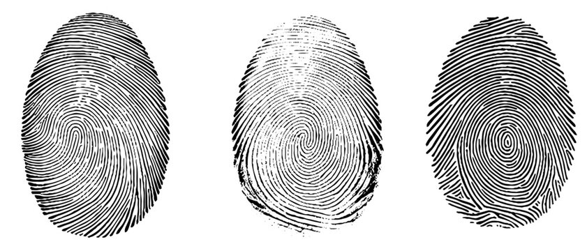 Vector set fingerprints.