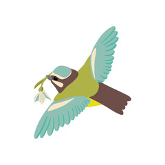 vector drawing flying bird with flower, hand drawn blue tit with snowdrop, spring symbol, hand drawn illustration
