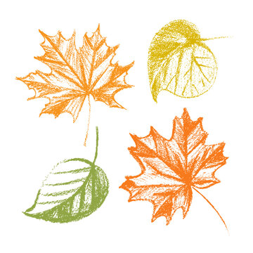 Delightful collection of four artistic autumn leaves that are perfect for all your fall season themed designs