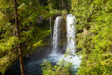 Koosah Falls in McKenzie River valley, Oregon, USA