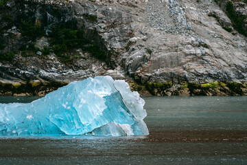 Iceberg from Sawyer glacier floating in Tracy Arm fjjord in Alaska near Juneau
