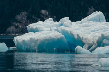 Iceberg from Sawyer glacier floating in Tracy Arm fjjord in Alaska near Juneau