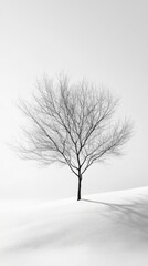 Elegant Plants Showcase on Minimalism White Backdrop: Capturing Vitality and Radiant Beauty, Graphic Resources, Wallpapers, illustration,