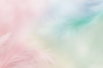 Obraz premium pastel feather 파스텔 깃털