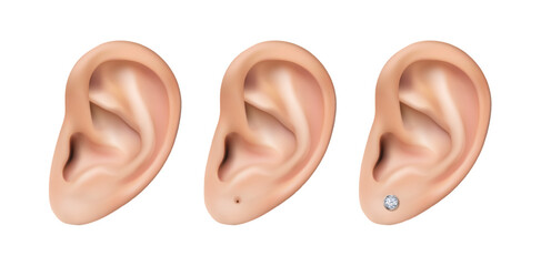 3d realistic vector icon set. Human ears. Piersed ear or with diamond earring stood.