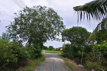 Fototapeta premium Concrete road
