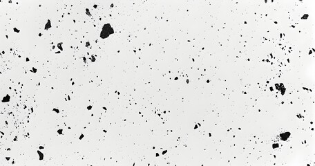 Minimalist Monochrome Speckled Background with Accurate and Detailed Aesthetic