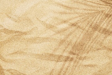 Beige soft Beach Sand with palm leaf shadow
