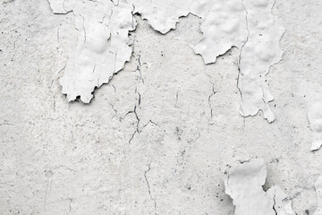 Light Gray Stucco Wall Texture. Abstract Background