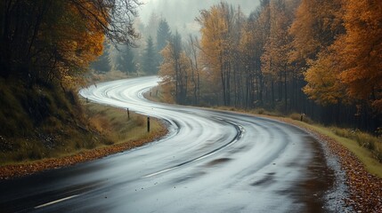 Fototapeta premium Winding road through autumn trees under a misty sky in a serene landscape during a rainy day